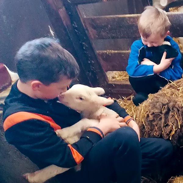 Tier-Erlebnis (immer dabei)